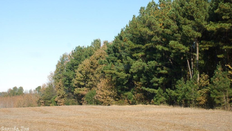 0 Highway 168 W unit 18037963, Paragould, AR 72450 - photo 1