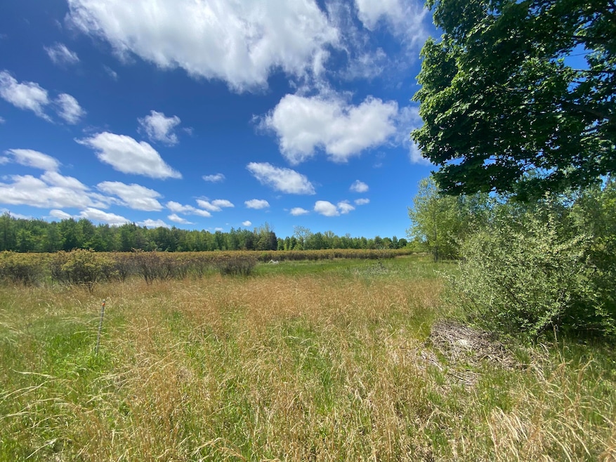 0 62nd St, Grand Junction, MI 49056 - photo 1