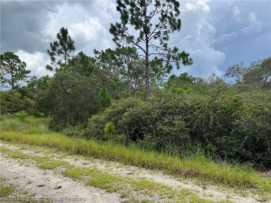 373 Showboat Ave, Lake Placid, FL 33852 - photo 1