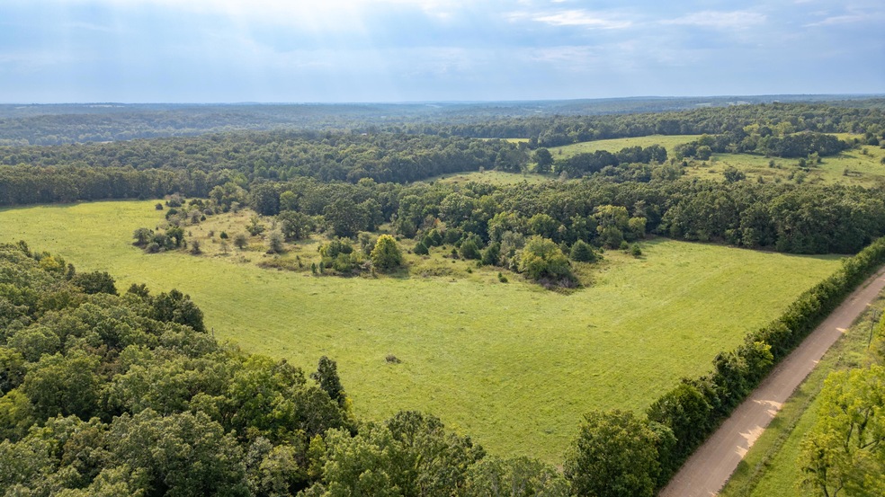 DJI_0132