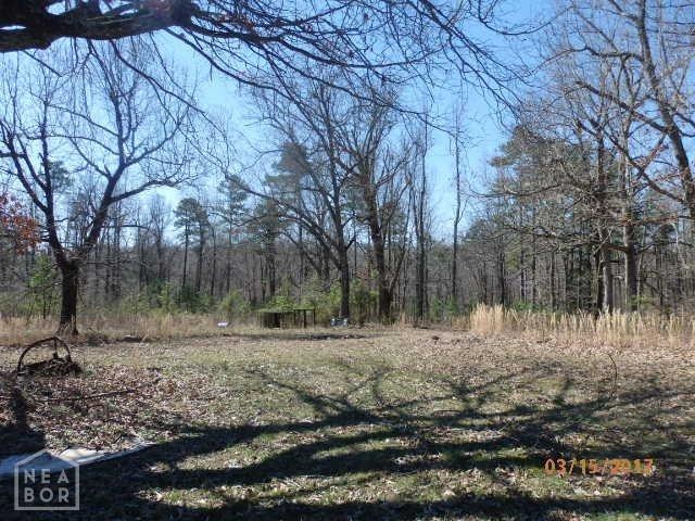 5085 Highway 358, Paragould, AR 72450 - photo 1