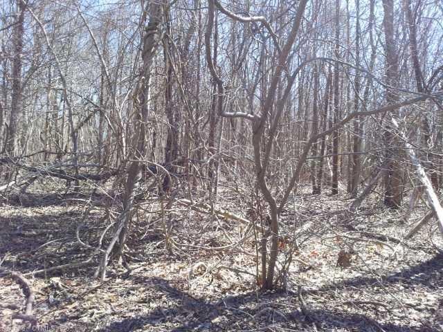 Land/Lot.