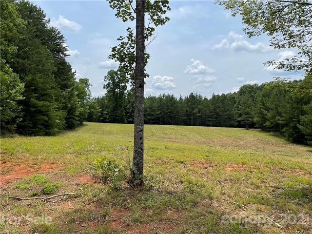 Olive Road acreage from road view