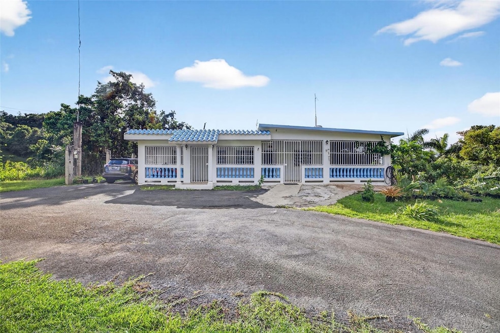 Carr. 186 INT 9948 K Sector Marines Cubuy, Canovanas, PR 00729 - photo 1