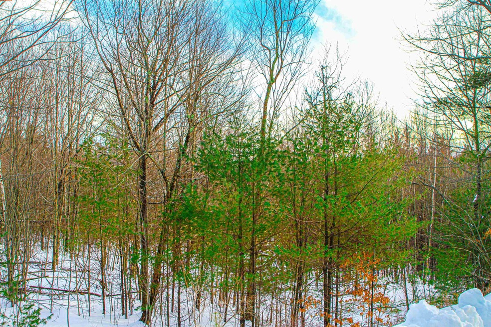 7 Lady Slipper Ln unit 158 / 002 / 000 /, Moultonborough, NH 03254 - photo 1