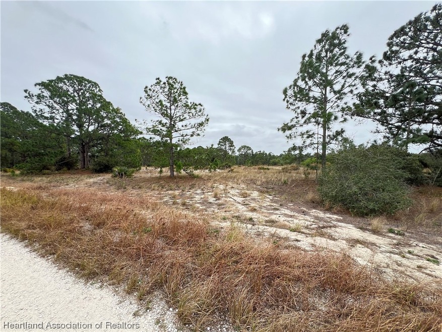 319 Vienna Ave, Lake Placid, FL 33852 - photo 1