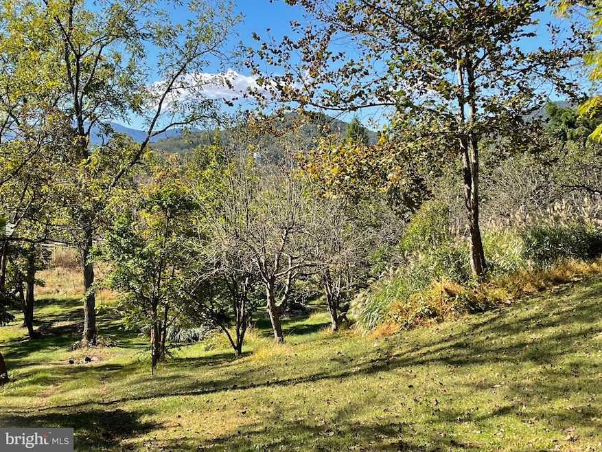 0 Tiger Valley Rd unit VARP2002288, Washington, VA 22747 - photo 1