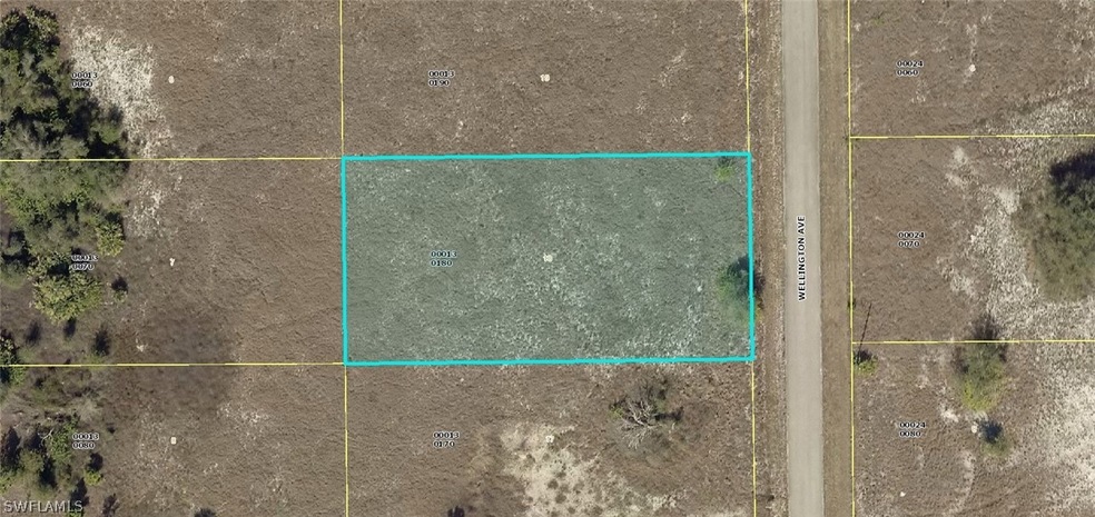 1711 Wellington Ave, Lehigh Acres, FL 33972 - photo 1