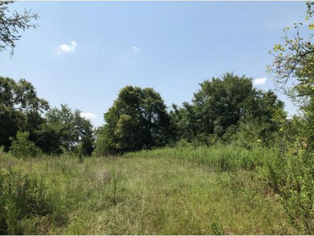 761 County Road 820, Nacogdoches, TX 75964 - photo 1