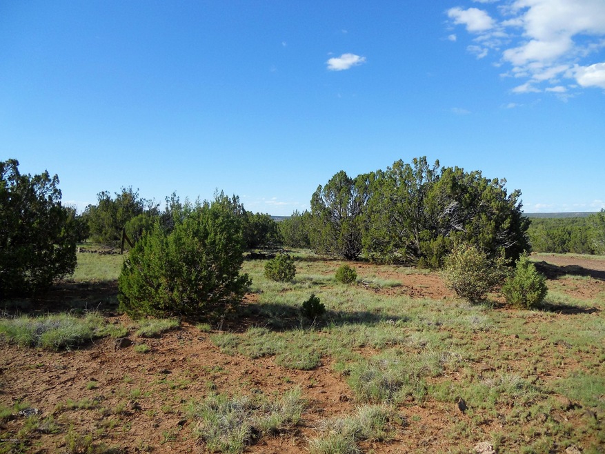 40 Acres