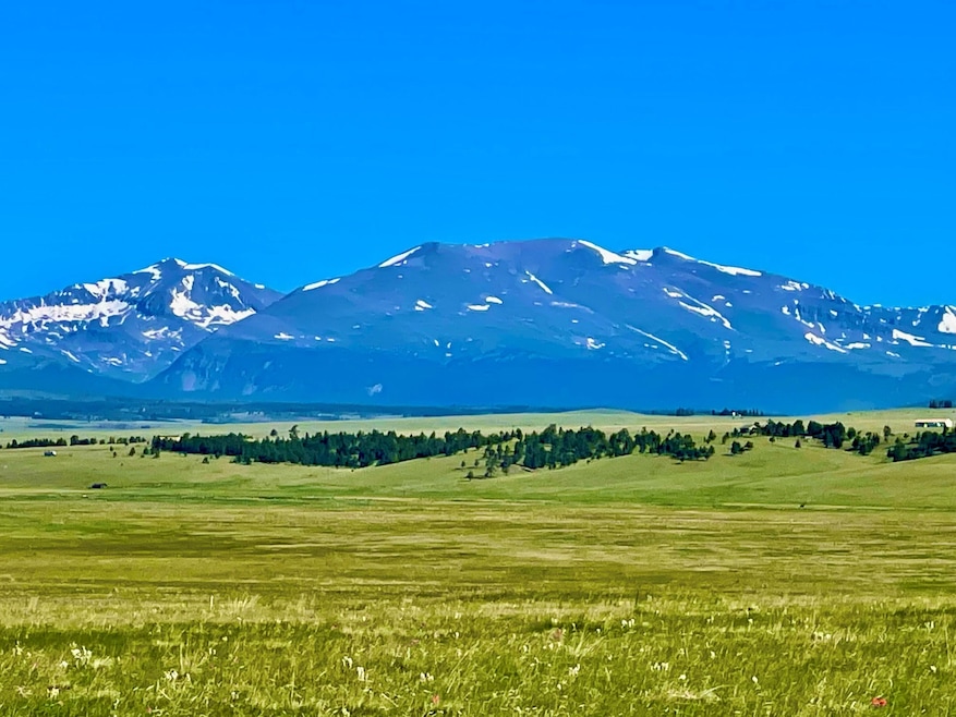 Elk Hunting