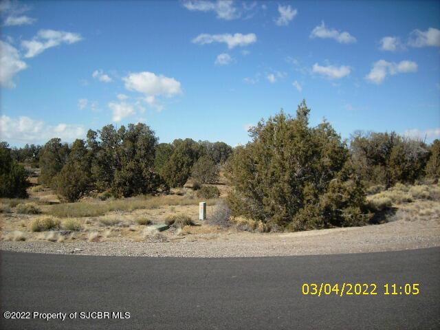 6925 High Point Dr, Farmington, NM 87402 - photo 1