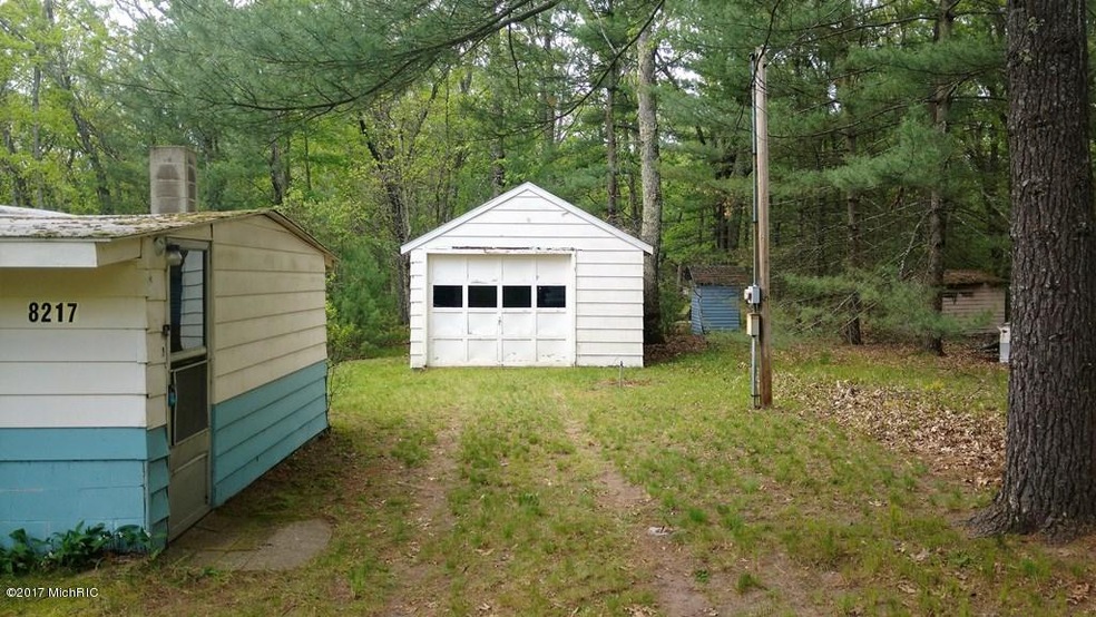 8217 W Oakwood Ave, Baldwin, MI 49304 - photo 1