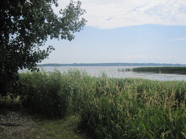 Main View