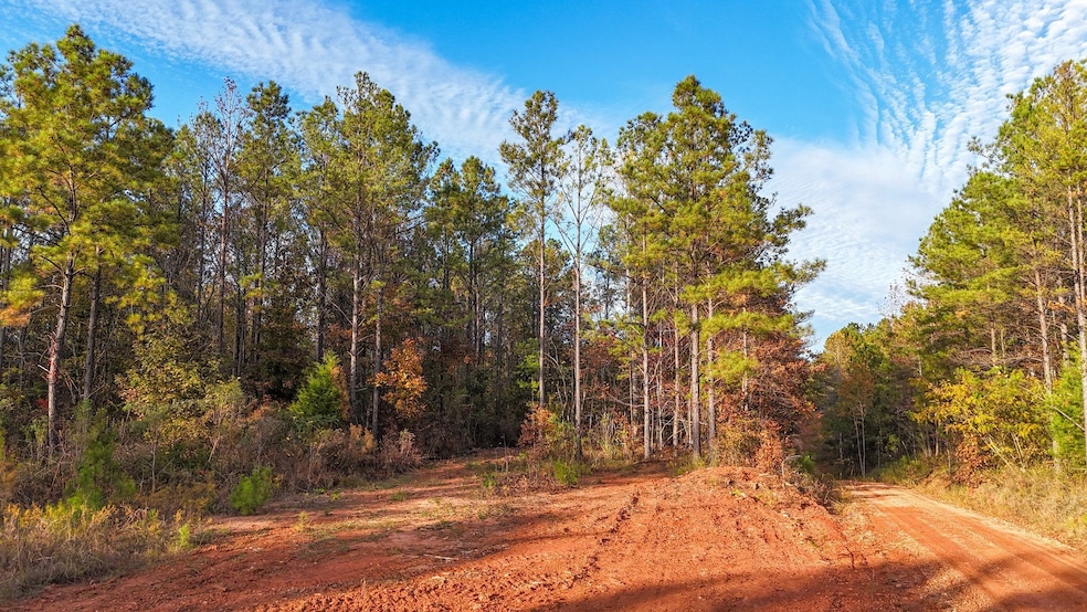 0 County Rd 95, Lafayette, AL 36862 - photo 1