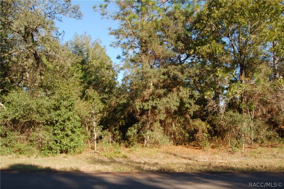 8815 N Tempest Dr, Citrus Springs, FL 34433 - photo 1