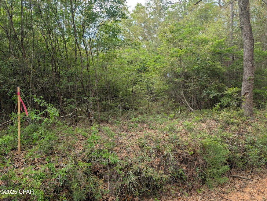 Sold $15,000 • Co-Listing Agent