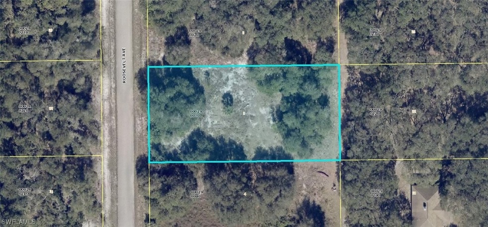 1818 Roosevelt Ave, Lehigh Acres, FL 33972 - photo 1