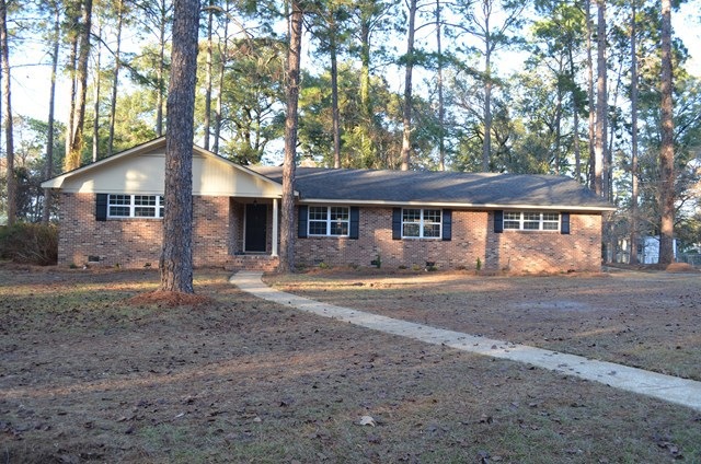 Main View