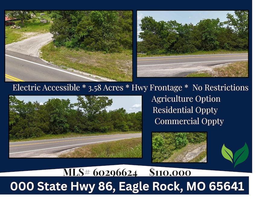 000 State Hwy 86, Eagle Rock, MO 65641 - photo 1
