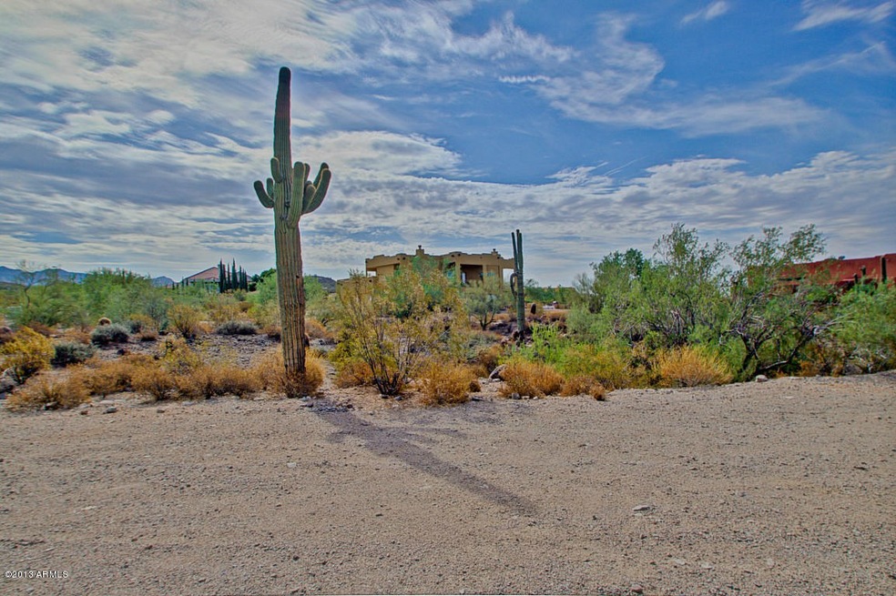 Saguaro Cacti Included!