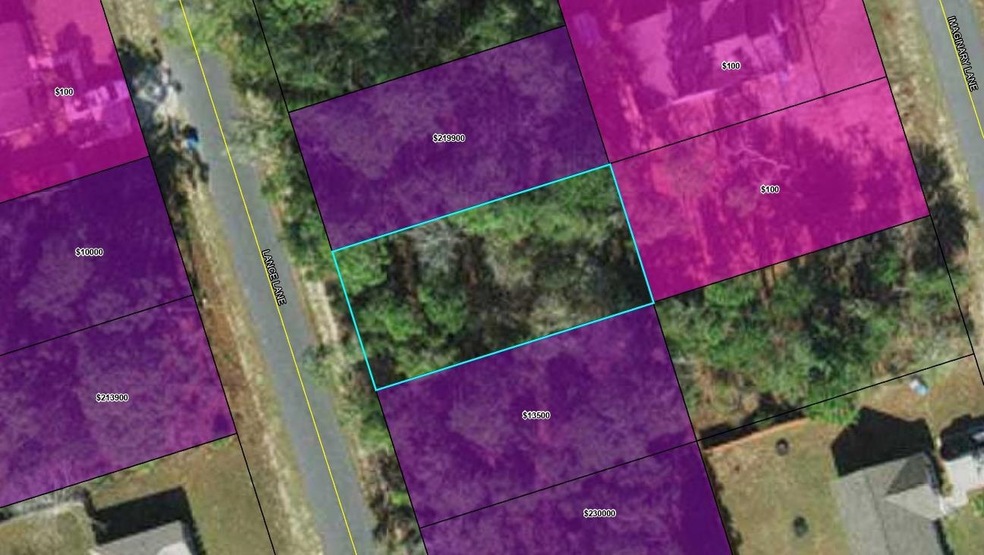 XXX Lance Ln, Crawfordville, FL 32327 - photo 1