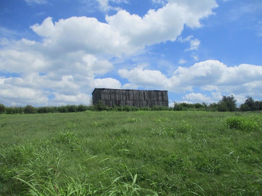 2634 Junction Rd, Flemingsburg, KY 41041 - photo 1