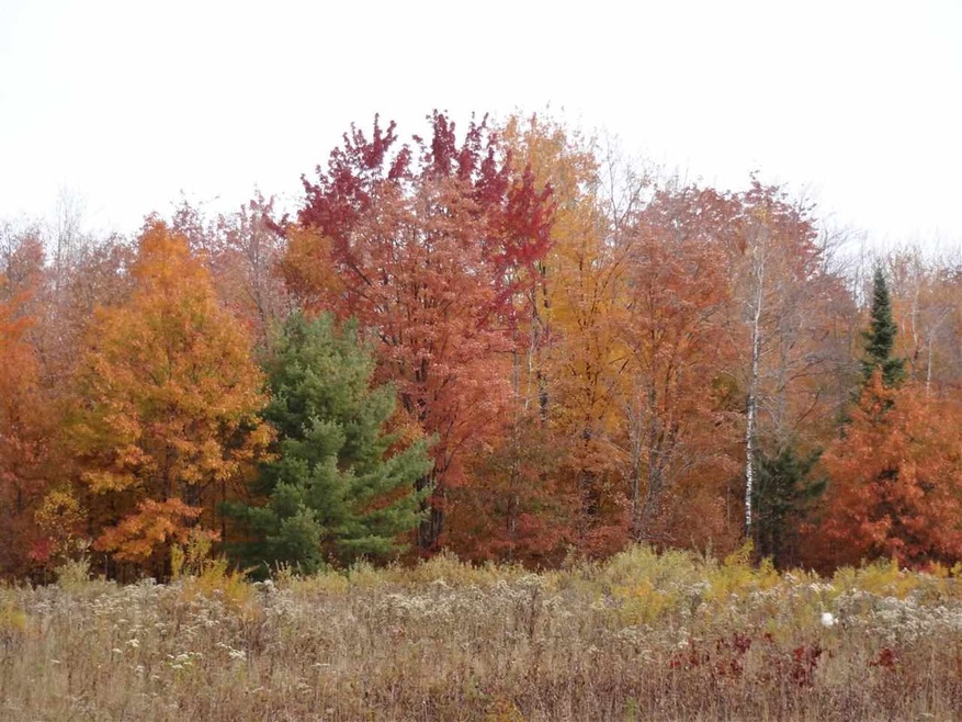 On State Highway 86, Tomahawk, WI 54487 - photo 1