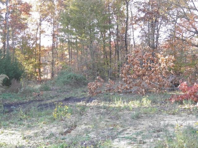 48 Wind Walker Ct, Manchester, TN 37355 - photo 1