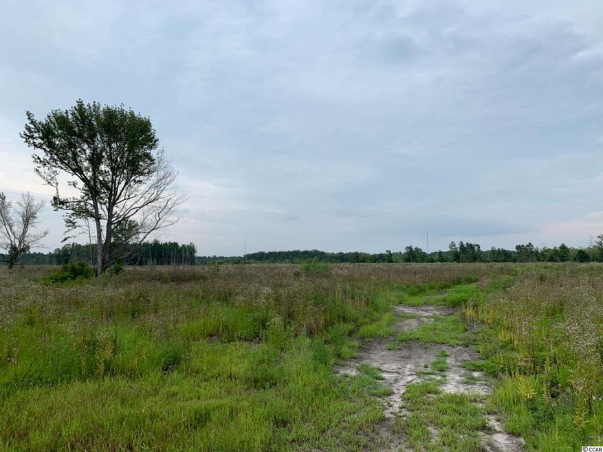 65 acres Sims Reach Rd unit Williamsburg County, Kingstree, SC 29556 - photo 1