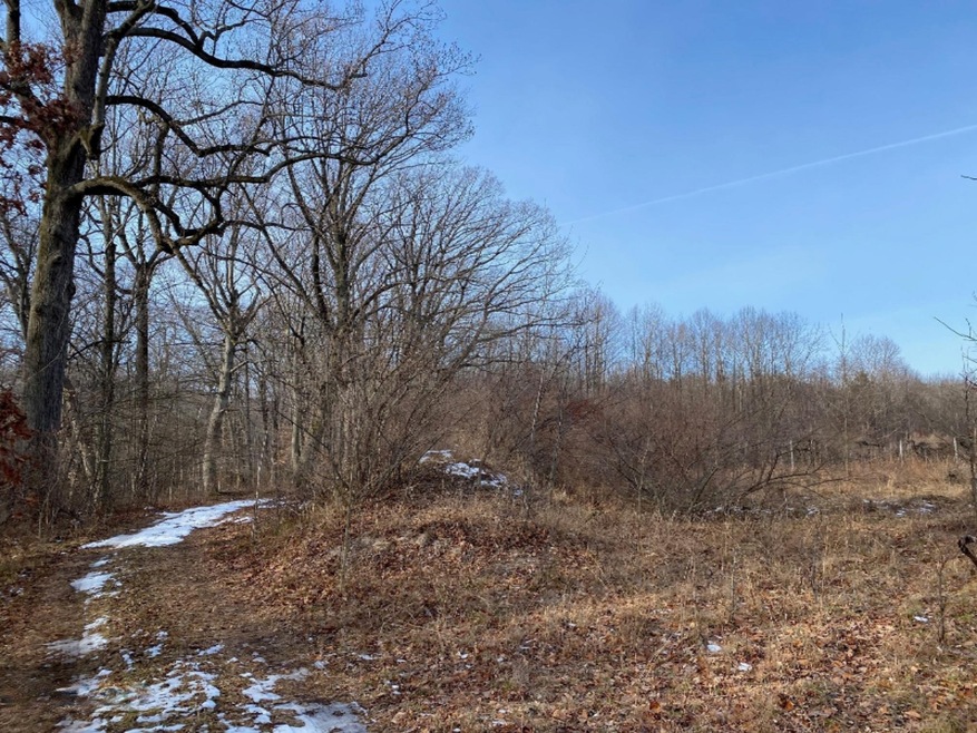 0 Red Arrow Hwy, Harbert, MI 49115 - photo 1