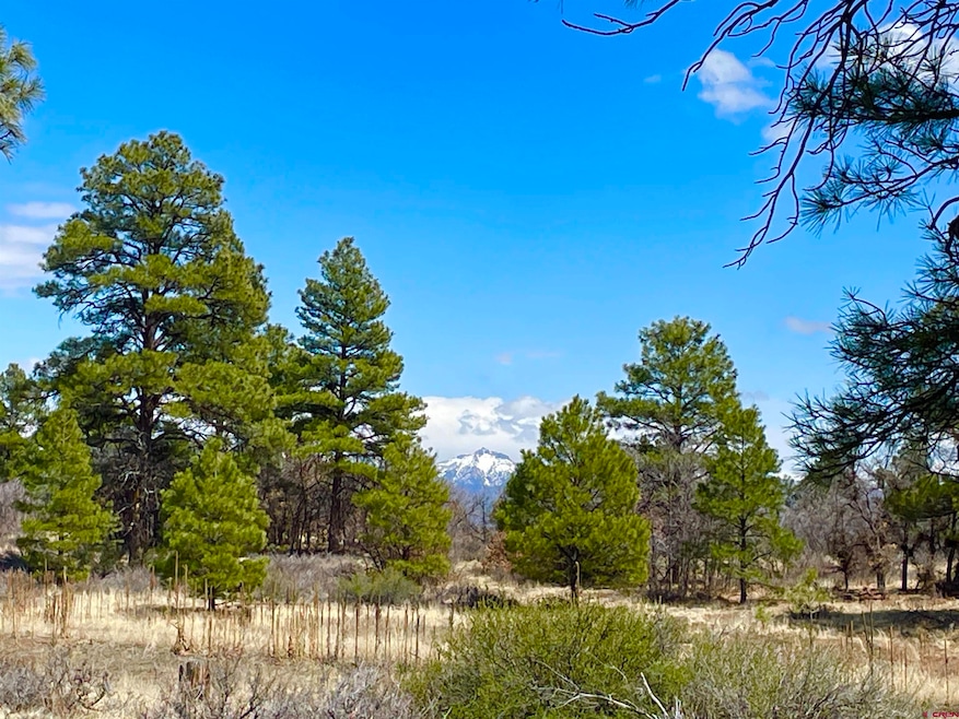 21 Eiffel Ct, Pagosa Springs, CO 81147 - photo 1