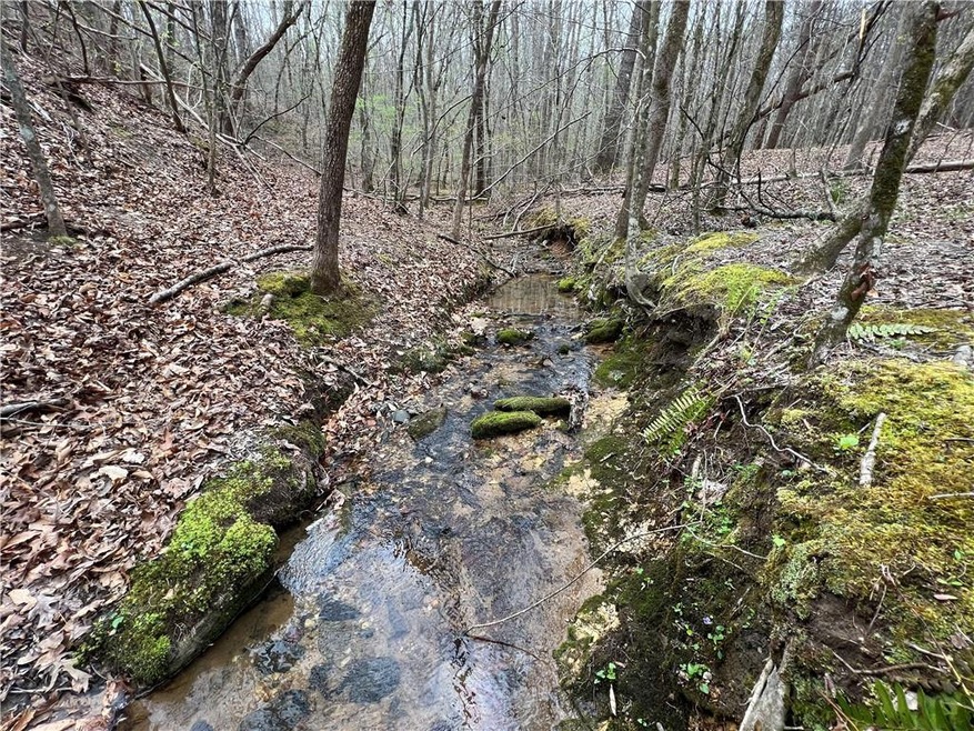 Larger of Two Creeks