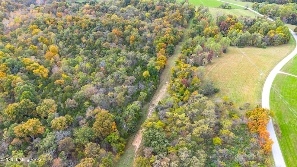 Lot 8 Bray Ridge Rd, Bedford, KY 40006 - photo 1