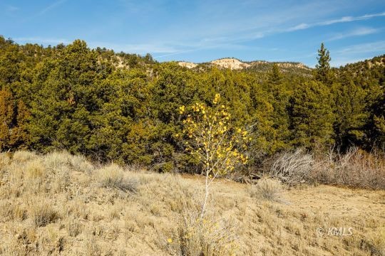 Deer Springs Ranch Lot 55