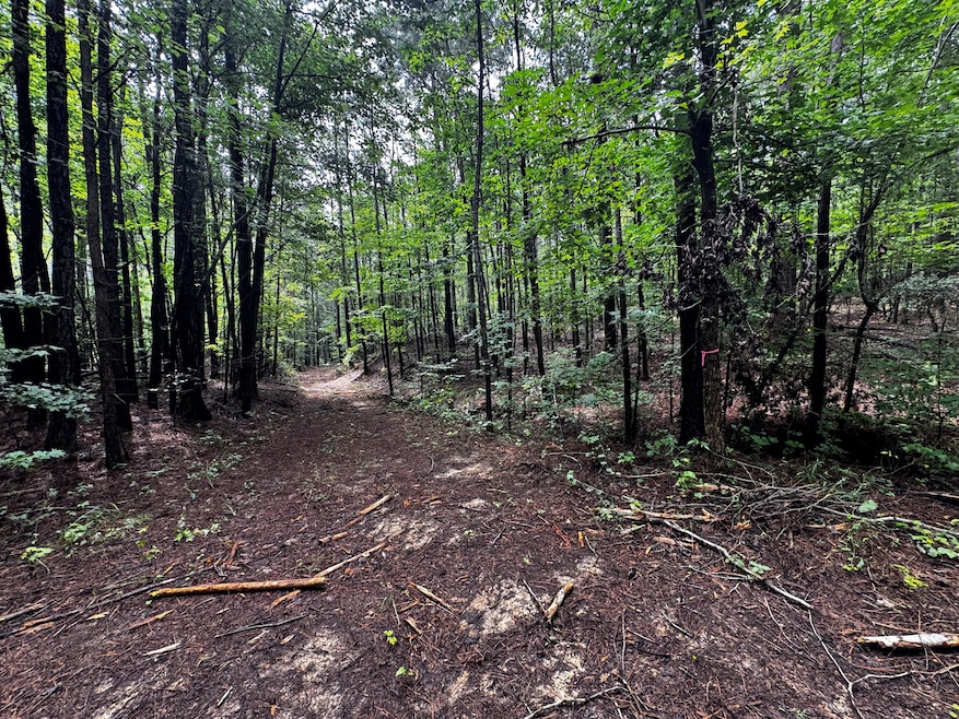 3550 Morgans Run Pkwy, Bessemer, AL 35022 - photo 1