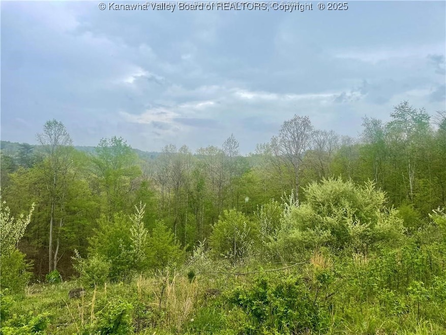 0 Siniaville Rd unit 281379, Ripley, WV 25271 - photo 1