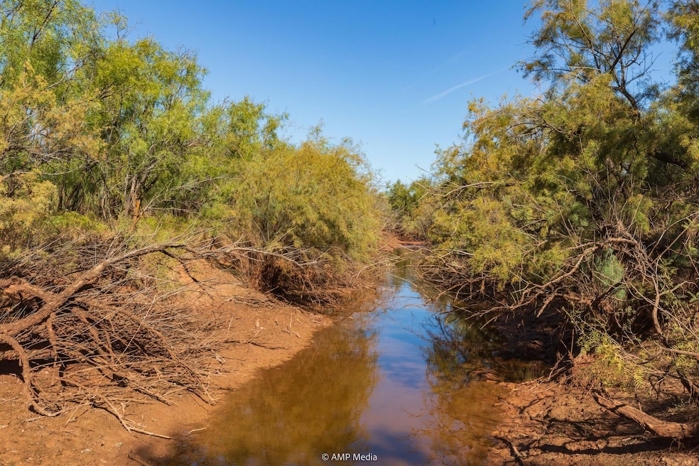 Fm2142, Hamlin, TX 79520 - photo 1