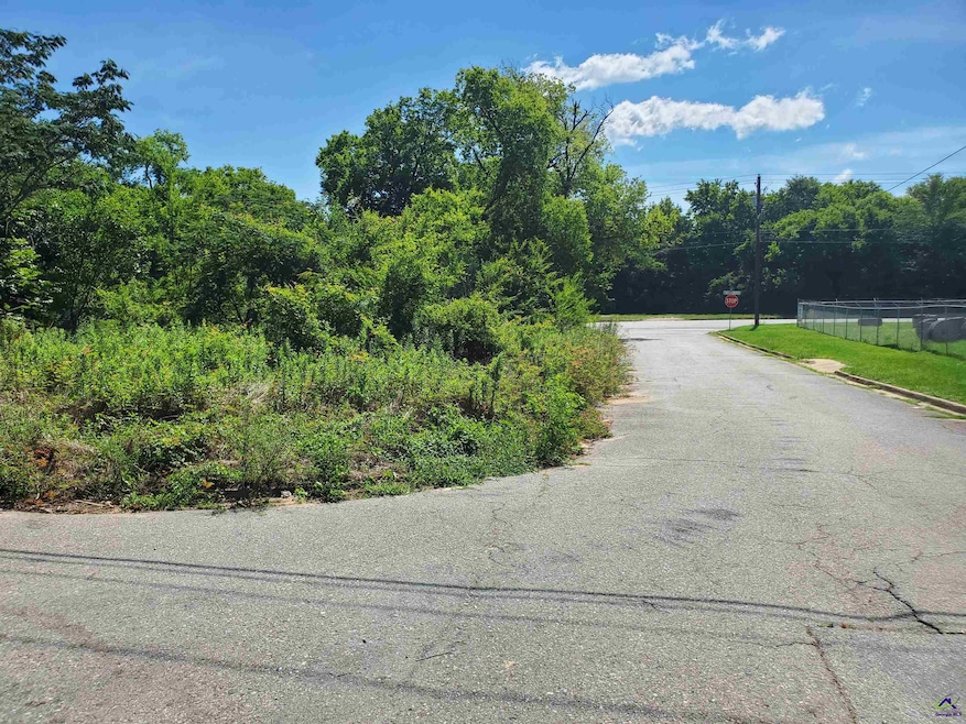 431 Greter St, Macon, GA 31206 - photo 1