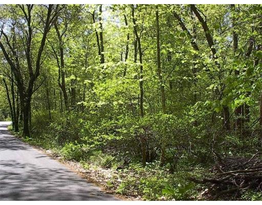 78 Torrey Rd, Sutton, MA 01590 - photo 1