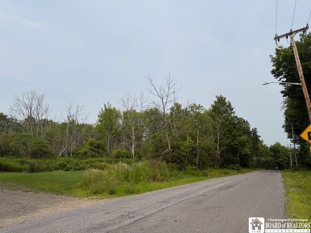 0 Horton Rd, Ellicott, NY 14701 - photo 1