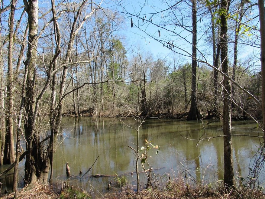 1437 Elmodel Hwy, Leary, GA 39862 MLS 912646