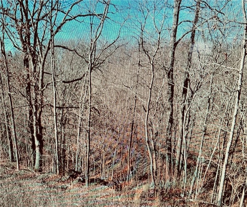 Buildable lot near bike trails.