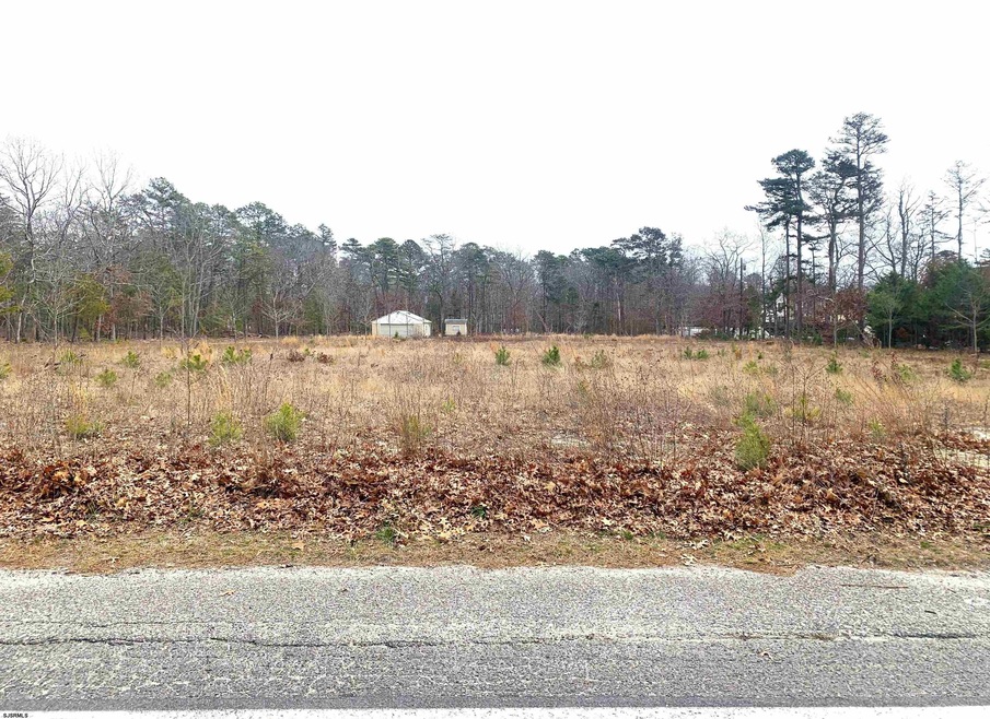 1257 Stagecoach Rd, Ocean View, NJ 08230 - photo 1