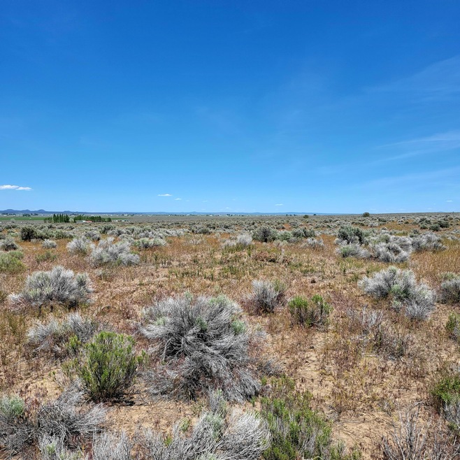 Sold $8,000 • Co-Listing Agent