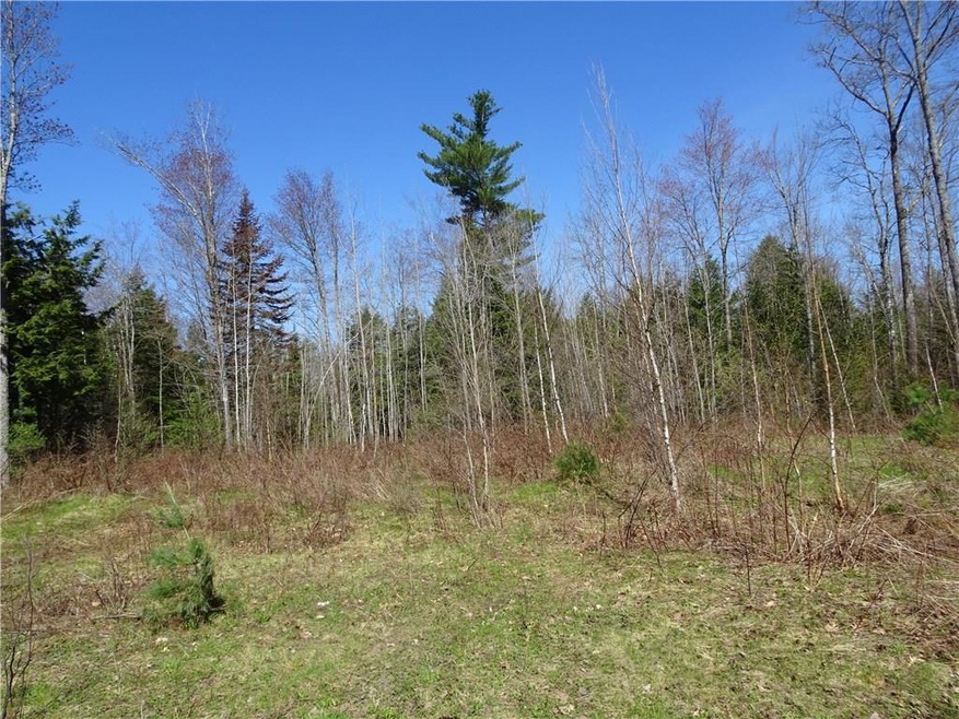 Large open area on Lot 1