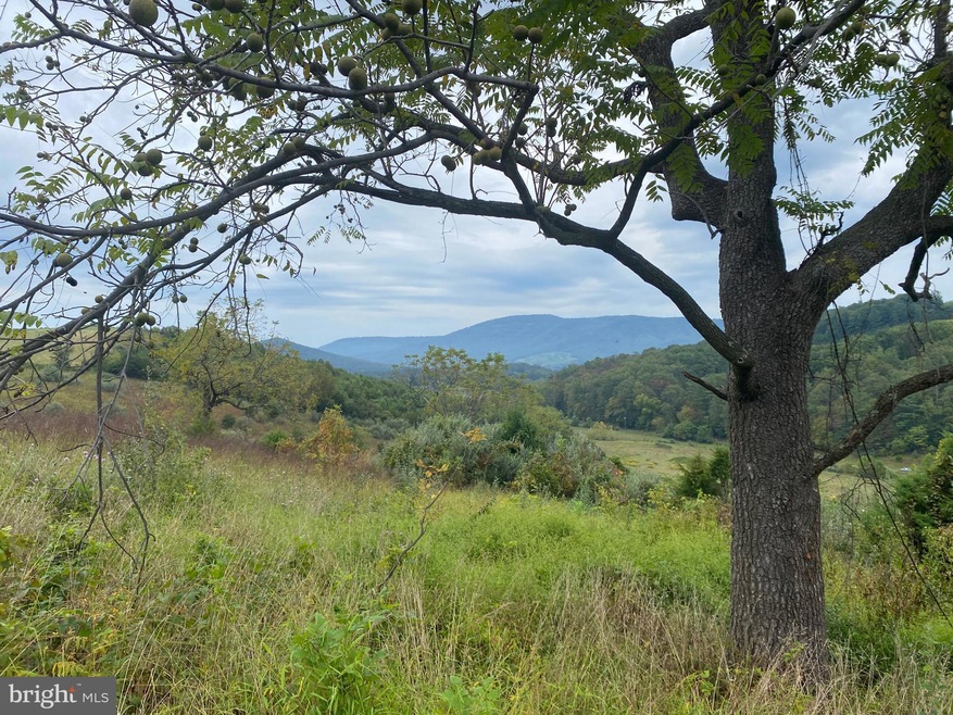 0 Gooney Manor Loop unit VAWR2012426, Bentonville, VA 22610 - photo 1