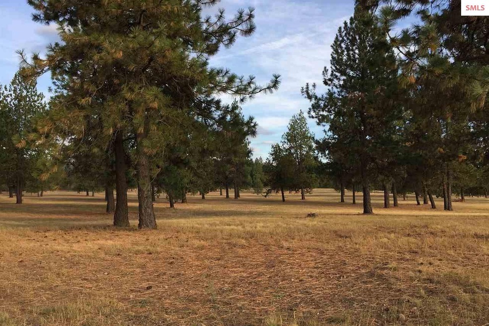 L2 B1 N Williams Ln, Athol, ID 83801 - photo 1