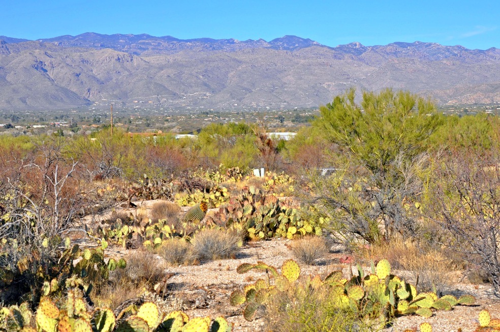VIEW FROM CENTER OF PROPERTY