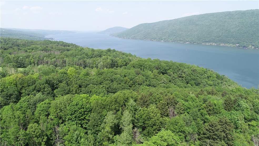 0 Longview Dr unit R1615828, South Bristol, NY 14512 - photo 1